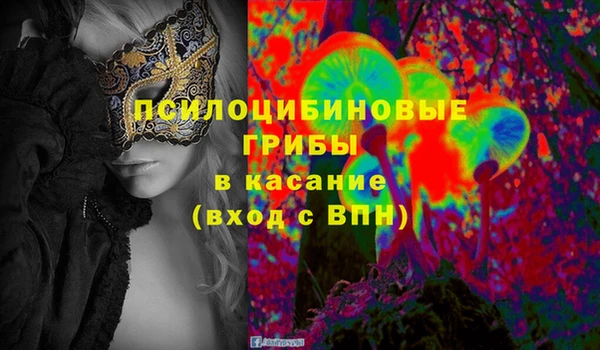 стаф Михайлов