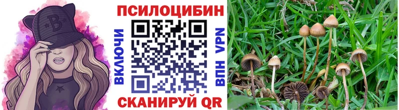 Псилоцибиновые грибы мицелий  Приволжск 